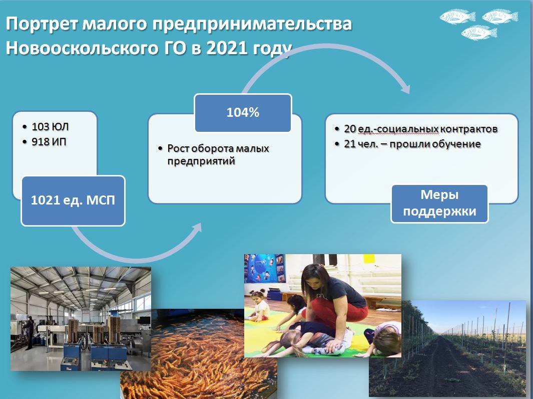 Вклад малого предпринимательства в экономику Новооскольского городского округа с каждым годом возрастает..