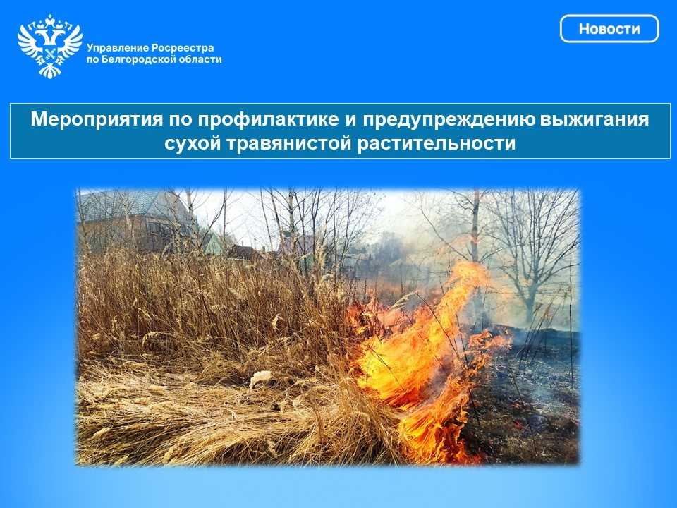 Мероприятия по профилактике и предупреждению выжигания сухой травянистой растительности.