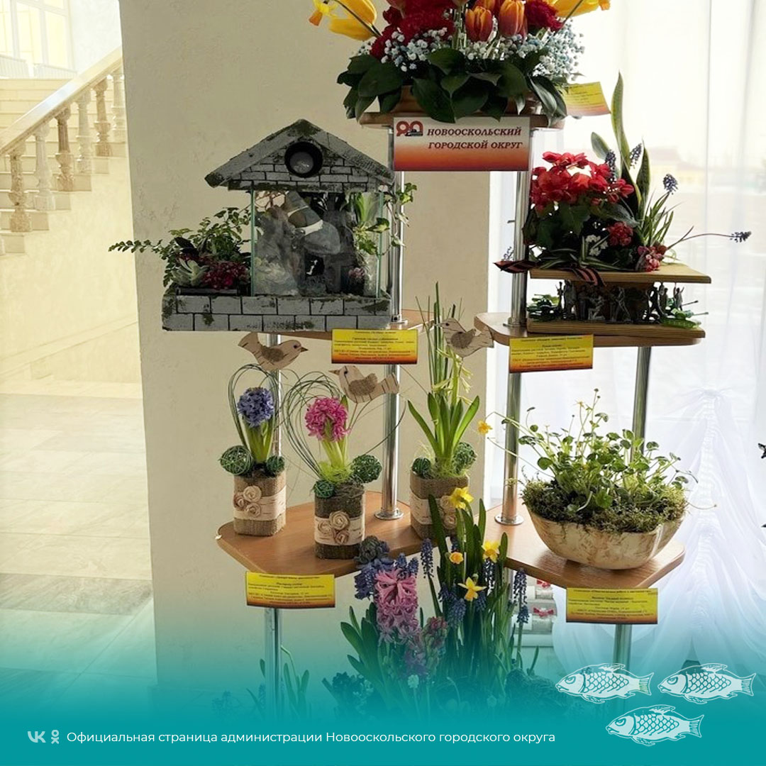 Новооскольцы заняли призовые места на областной выставке выгоночных цветочно-декоративных растений «Цветы раскалённой земли».