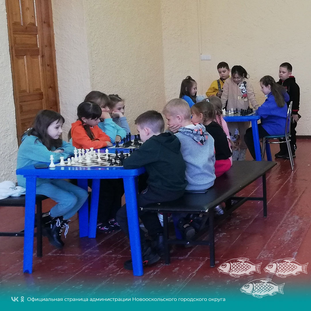 Новооскольские любители интеллектуальных игр вновь приняли участие в шахматном турнире.