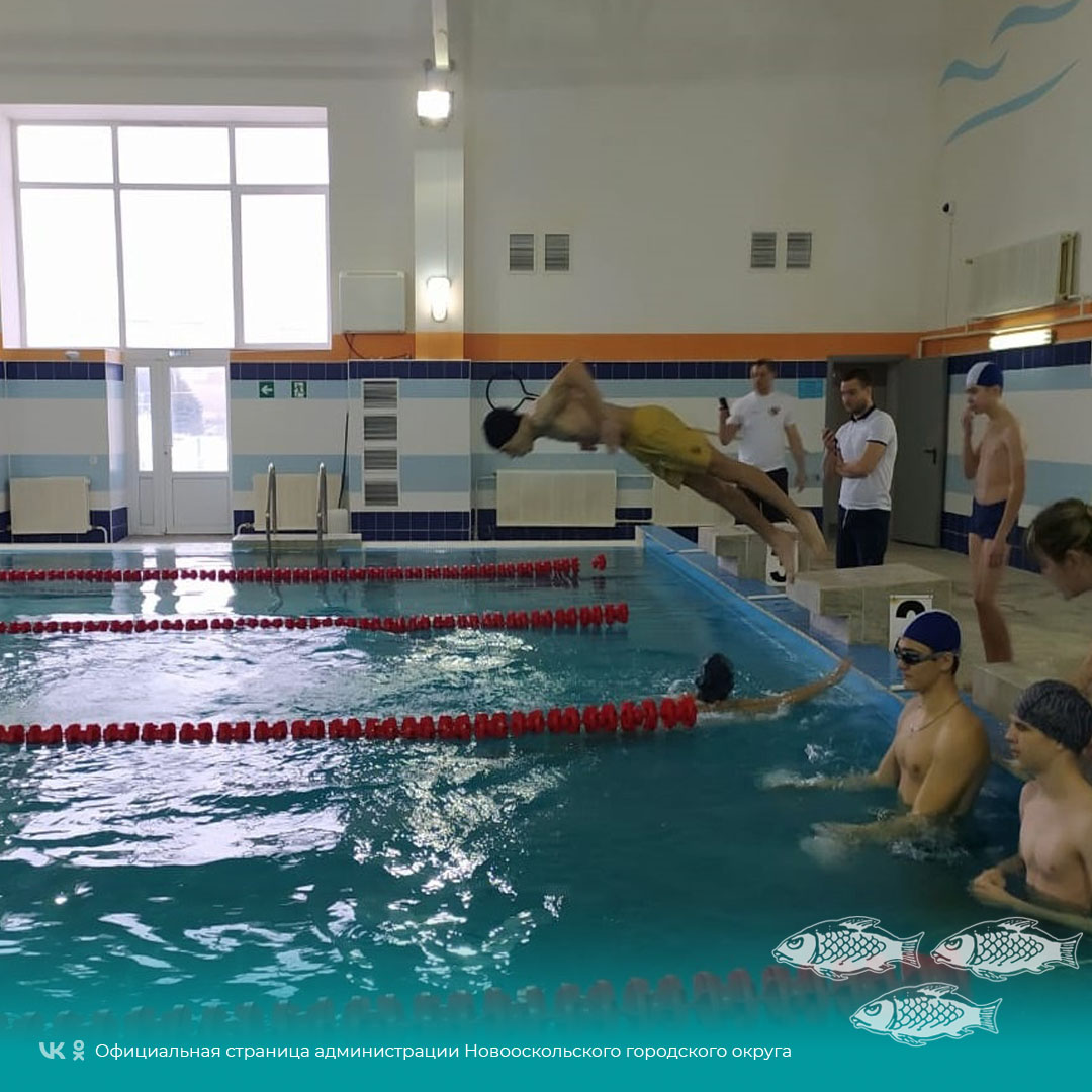 Юные спортсмены приняли участие в муниципальных соревнованиях по плаванию, которые состоялись на базе Новооскольского плавательного бассейна «Каскад» .