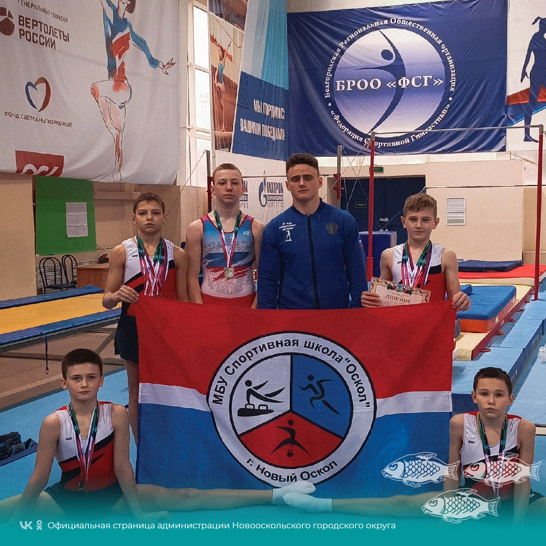 Новооскольцы стали победителями и призёрами Чемпионата и Первенства Белгородской области по спортивной гимнастике.