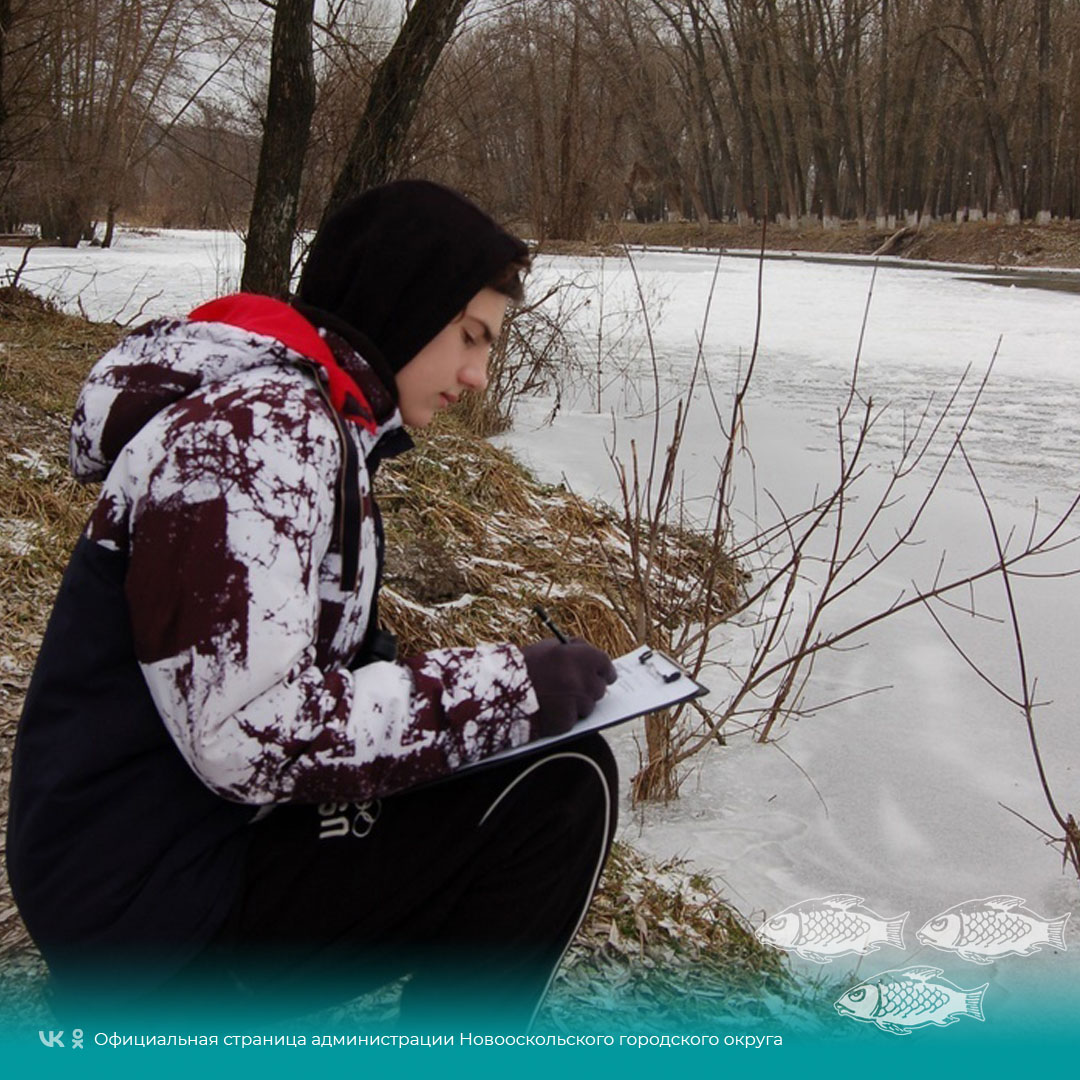 Ученики Новооскольской станции юных натуралистов приняли участие в среднезимнем учёте водоплавающих птиц «Серая шейка 2023».