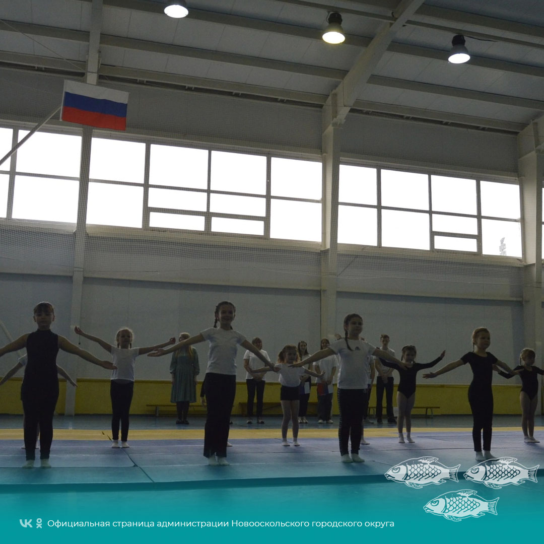 В Новооскольском физкультурно-оздоровительном комплексе состоялось открытое Первенство по общей физической подготовке.