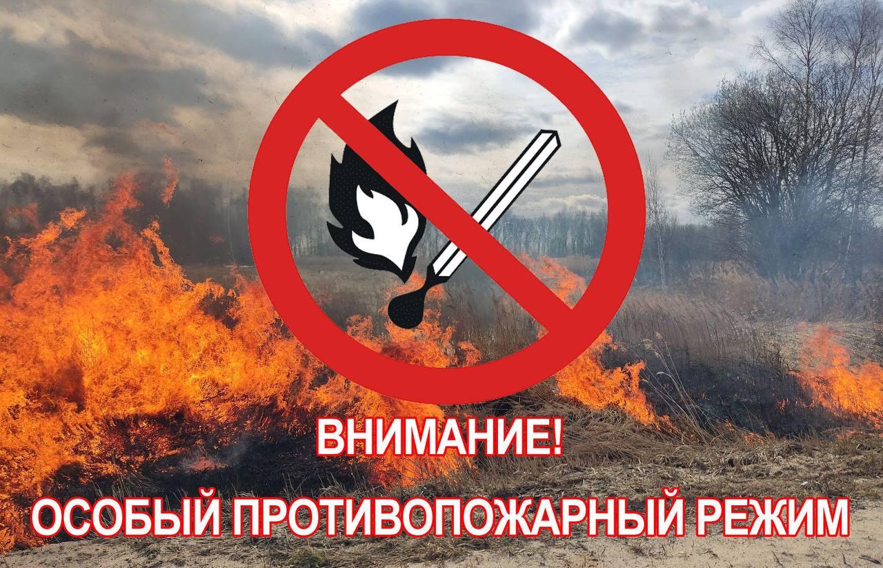Сегодня на территории Новооскольского городского округа с 9.00 часов введен особый противопожарный режим.