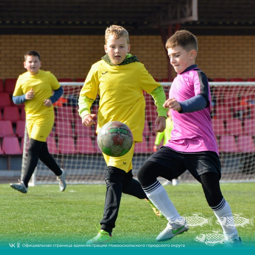 Новооскольская команда по футболу приняла участие в туре открытого первенства детско-юношеской спортивной школы Чернянского района.