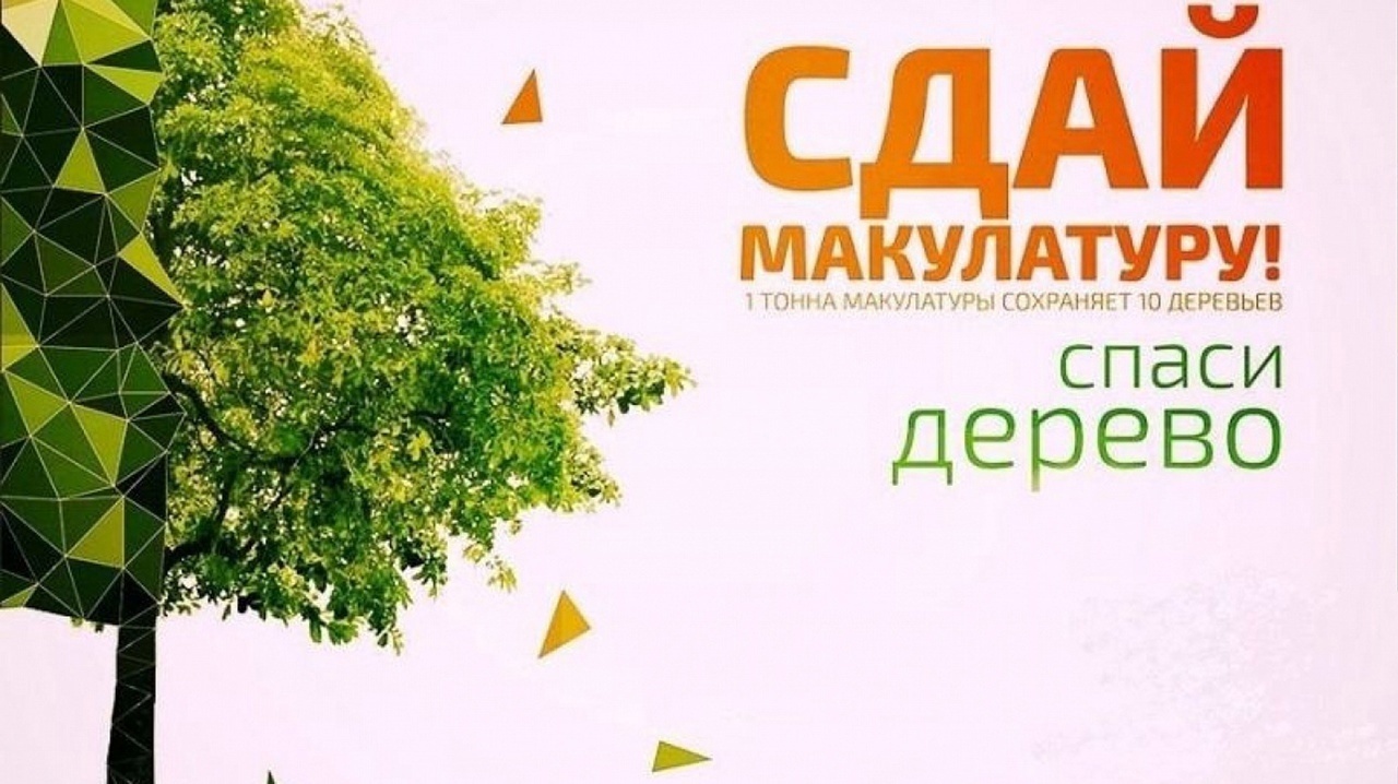 Юные новооскольцы приняли участие в региональной акции «Сдай макулатуру – спаси дерево».