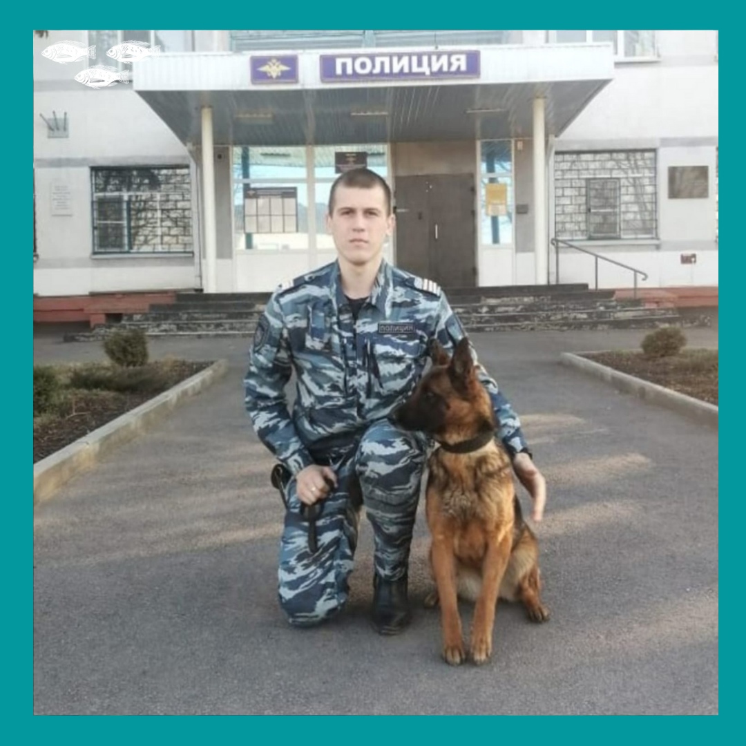 Вместе на страже порядка. Кинолог Дмитрий Лавренов и его собака Есения берегут покой сограждан