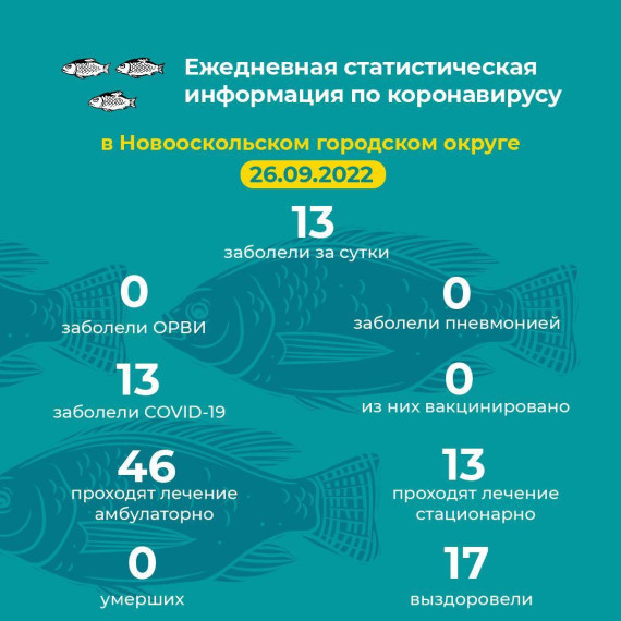 Актуальная информация.