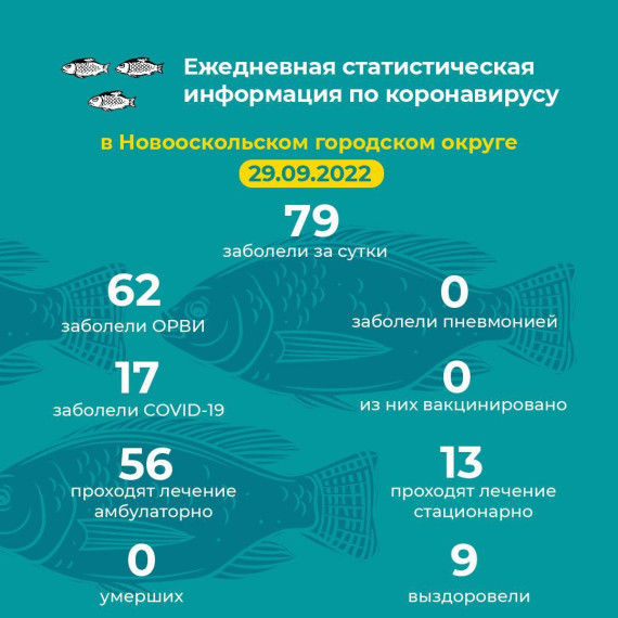 Актуальная информация.