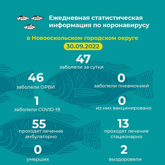 Актуальная информация.