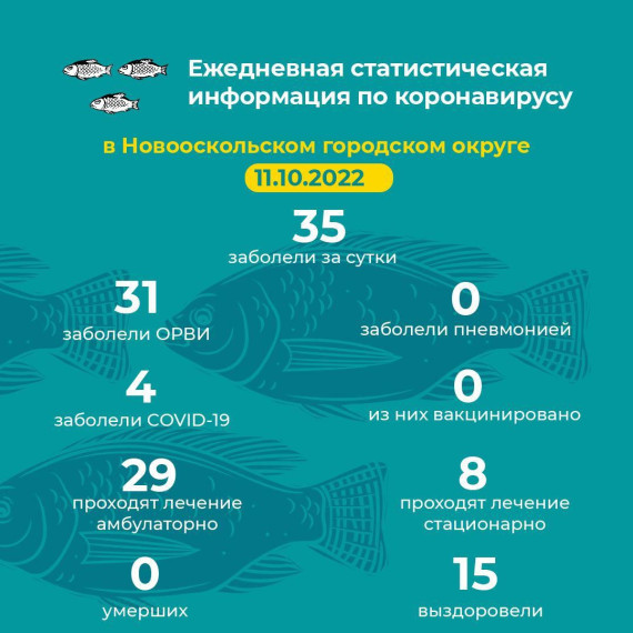 Актуальная информация.