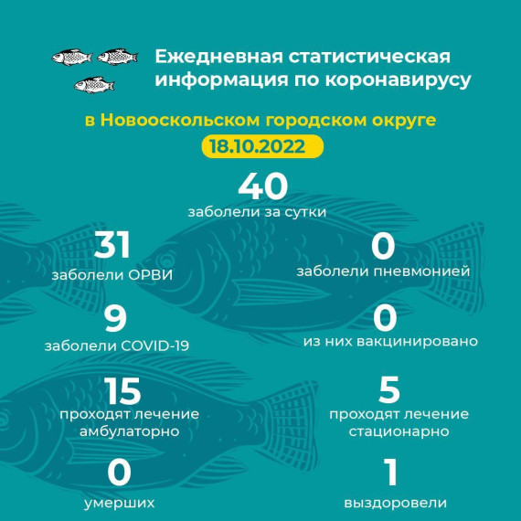 Актуальная информация.