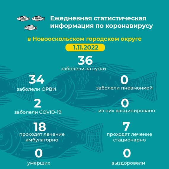 Актуальная информация.