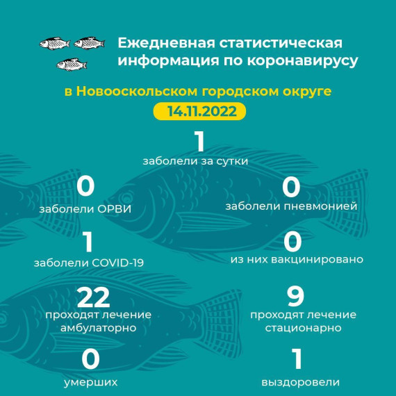 Актуальная информация.