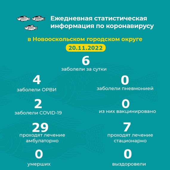 Актуальная информация.