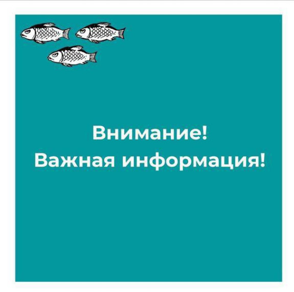 Внимание! Важная информация.