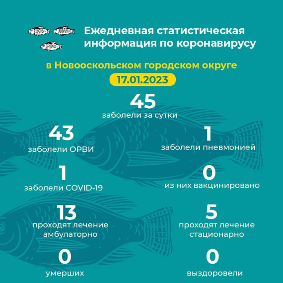 Актуальная информация.