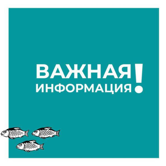 На территории Белгородской области установлен высокий «жёлтый» уровень террористической опасности.