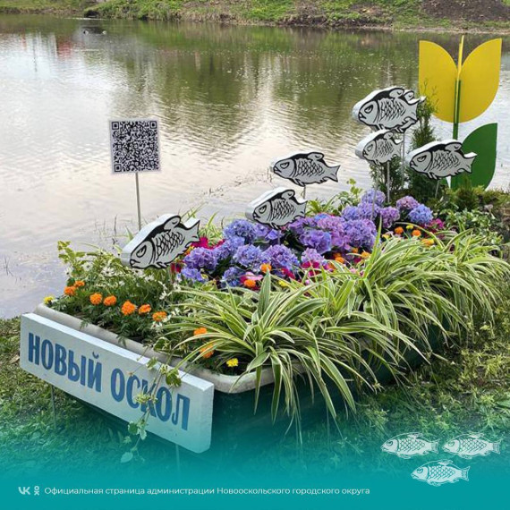Новооскольцы представляют свой округ на региональном фестивале тюльпанов «Река в цвету».