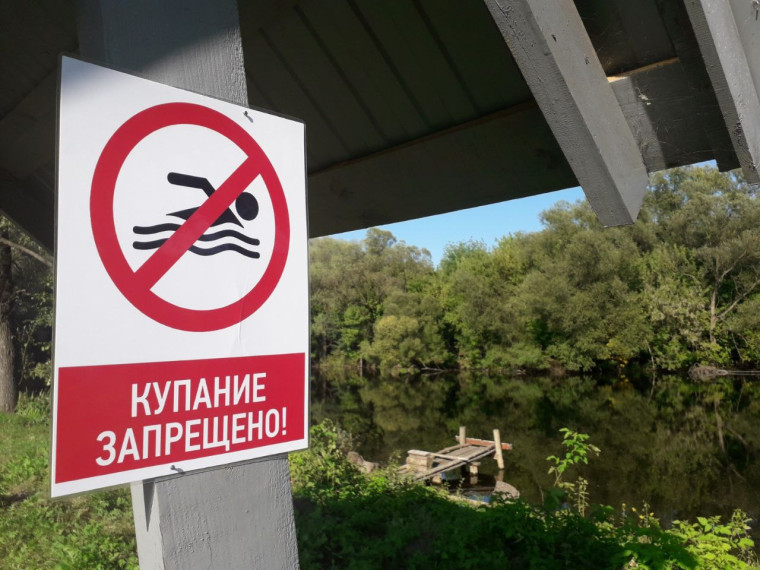 Купаться запрещено: почему игнорировать эти таблички действительно не стоит. Купаться запрещено: почему игнорировать эти таблички действительно не стоит.