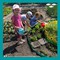Малыши из детского сада №10 создали совой мини-огород.