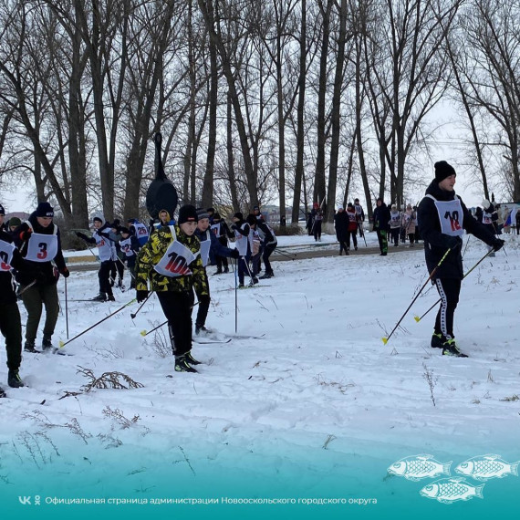 Новооскольцы приняли участие в спортивном состязании «Лыжня Новоосколья».