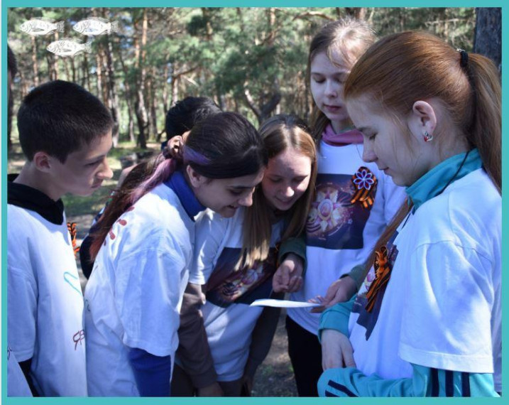 В пикник-парке «Сосновый край» прошёл слёт отрядов «Волонтеры Победы» Новооскольского городского округа.