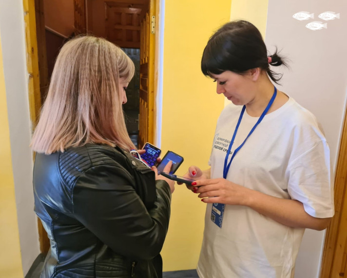 Новооскольские волонтеры продолжают помогать жителям города принимать участие в рейтинговом голосовании..